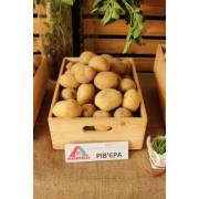Картопля Рівєра (Фасовка: 2,5 кг)
